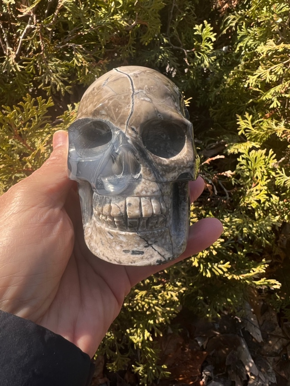 Volcanic (2) agate skull carving | crystal ~ UV reactive